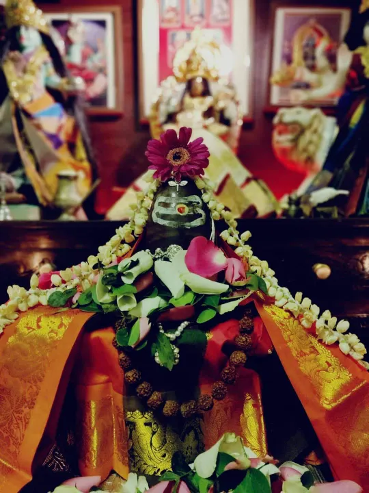 Mahamrityunjay jaap puja in Trimbakeshwar