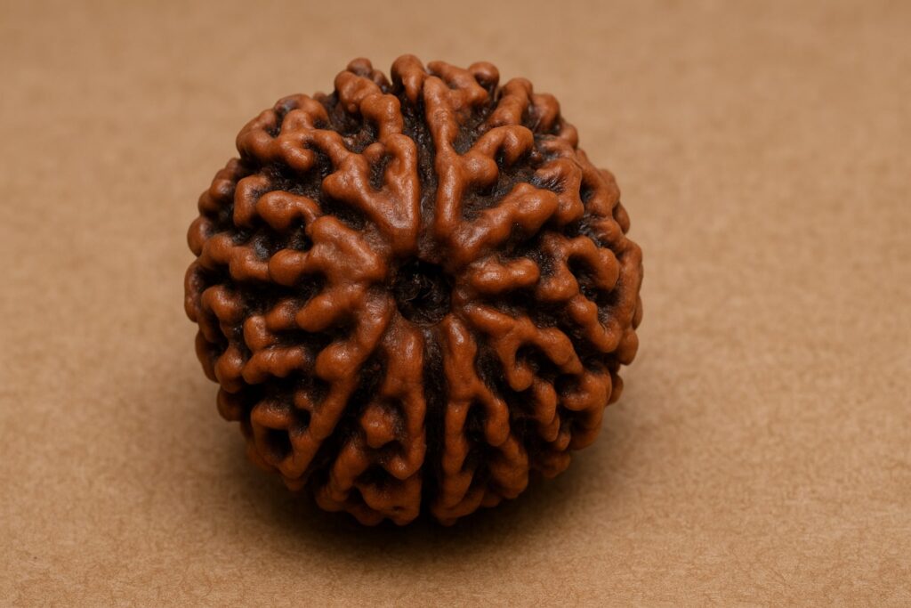 रुद्राक्ष 