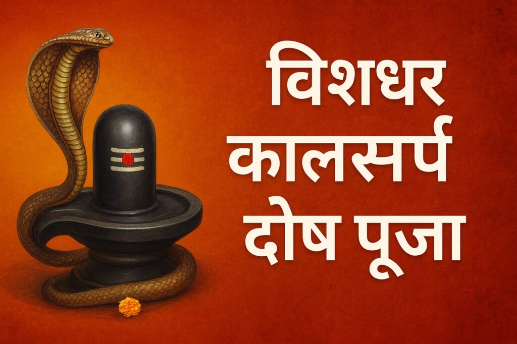 विशधर कालसर्प दोष पूजा