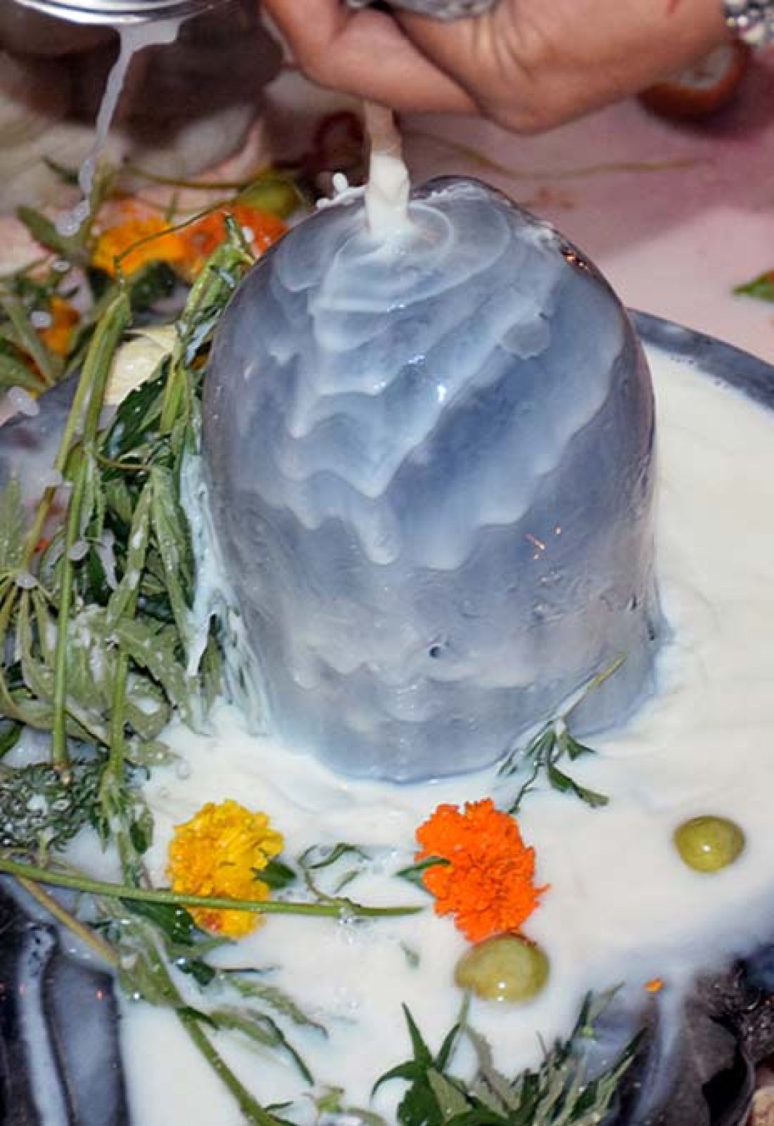 Rudrabhishek puja in trimbakeshwar